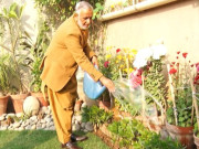 مہنگی سبزیوں سے تنگ شہری نے گھر کی چھت پر ہی سبزیاں کاشت کرلیں