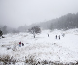 یورپ میں برفباریطوفان اور بارشوں نے تباہی مچا دی