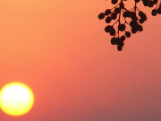 نیا سال اپنا محاسبہ کیجیے