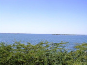 کینجھر جھیل قتل مقتولین کے ورثا کا غیرجانبدارانہ تحقیقات کامطالبہ 