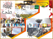 سنڈے ایکسپریس سال نامہ اسپیشل 2020 ء ۔ اپریل  مئی