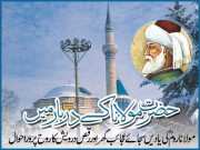حضرت مولاناؒ کے دربار میں
