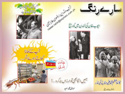 سارے رنگ