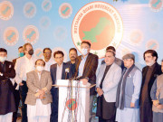 ایم کیو ایم اور پی ٹی آئی کا جلد مردم شماری کرانے پر اتفاق