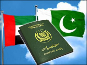 ایک معمولی غلطی ہی تو ہے