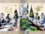 ایکنک کا اجلاس بلوچستان میں 100 چھوٹے ڈیمز بنانے کی منظوری