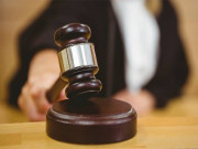 وزیراعلیٰ کے چیمبر میں چوہوں اور ہائیکورٹ میں کتوں کی بھرمار کیخلاف درخواست پر جج برہم