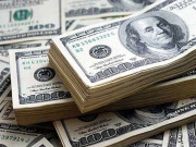 سرمایہ کاری 708  منافع کی بیرون ملک منتقلی 892 ملین ڈالر