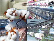 ٹیکسٹائل سیکٹر کی بحالی کیا حقیقت کیا فسانہ