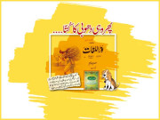 پھر وہی دھوبی کا کُتّا