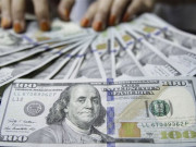 زرمبادلہ کے ذخائر 20 ارب 16 کروڑ ڈالر کی سطح پر پہنچ گئے