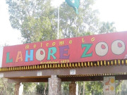 لاہور چڑیا گھر کے ملازمین بھی کورونا کی لپیٹ میں آگئے