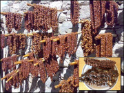 گلگت کی سوغات مزیدار اور خوش ذائقہ کیلاؤ