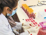 ’ ہرڈ امیونٹی ‘ کورونا وائرس کے خلاف جنگ میں موثر حکمت عملی