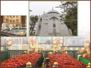 حضرت سید خواجہ خاوند محمودؒ