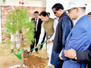 وزیراعظم کا صوبوں میں شجرکاری مہم میں خود حصہ لینے کا فیصلہ