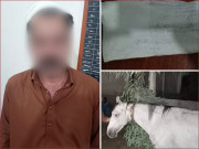 کراچی میں گھوڑے پر سوار ملزم کی ہوائی فائرنگ ویڈیو وائرل ہونے پر ملزم گرفتار
