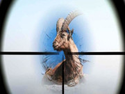 پنجاب میں جنگلی حیات کے تحفظ کے لئے فورس بنانے پرغور