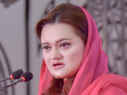 نواز شریف کو غنڈوں کا منسوخ کردہ پاسپورٹ نہیں چاہیے ترجمان ن لیگ