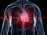 گردن میں بڑھی ہوئی چربی اور امراضِ قلب کے درمیان تعلق دریافت