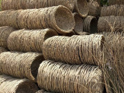 پنجاب میں شہتوت کی شاخوں سے سے ٹوکریاں بنانے کی گھریلو صنعت کے فروغ کا منصوبہ