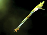  2013ء کی بہترین تصاویر   