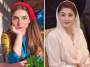 مریم نواز بھی وائرل ہونیوالی ویڈیو کا حصہ بن گئیں