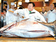 جاپان 230 کلو وزنی ٹونا مچھلی 89 ہزار ڈالر میں خریدی گئی