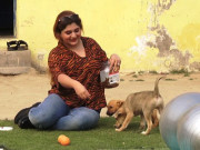 لاہور میں خاتون نے پالتو کتے کی کی یاد میں جانوروں کا شیلٹرہوم بنادیا