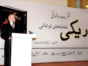 توانائی مرکوز کرکے ریکی سے کامیاب علاج ہوسکتا ہے عبدالحسیب