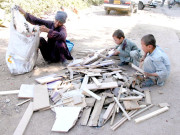 بیکار لکڑی اور برادہ جمع کرنے کے کام سے ہزاروں افراد وابستہ ہوگئے