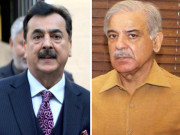 یوسف رضا گیلانی کی شہباز شریف سے ملاقات سینیٹ الیکشن پر تبادلہ خیال