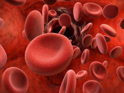 خون کی کمی کے اسباب بچاؤ اور قدرتی ذرائع