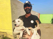 لاہورمیں آوارہ کتوں کوتحویل میں لینے کے لیے آپریشن  شروع