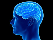 ’انسانی دماغ میں پائے جانے والے خلیوں یا نیورونز کی تعداد کہکشاں میں موجود ستاروں سے بھی زیادہ‘