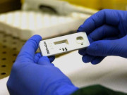 کھلاڑیوں کوچزاوراسٹاف کے کورونا ٹیسٹ کی رپورٹس منفی آگئیں