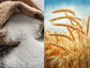 رمضان المبارک میں چینی اورگندم کی قلت کا خدشہ