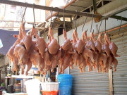 سندھ حکومت بالآخر جاگ گئی مرغی کا گوشت مہنگا ہونے پر سخت ہدایات جاری