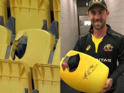 گلین میکسویل کے چھکے سے ٹوٹی ہوئی کرسی 2 ہزار ڈالر میں نیلام