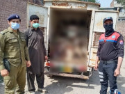 لاہور میں مردہ جانور کے گوشت کی بڑی کھیپ پکڑی گئی