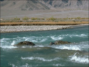 پانی پر مذاکرات کے لیے بھارتی وفد دورہ پاکستان پر رضامند ہوگیا