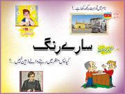 سارے رنگ