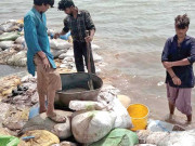 بیٹریوں کو دوبارہ قابل استعمال بنانے کیلئے سمندری پانی کو زہریلا کرنے کا انکشاف