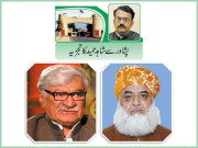 پی ڈی ایم کے خاتمے کا آغاز اے این پی الگ ہوگئی