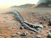 زمین پر قدیم زندگی کے خاتمے کے مزید ثبوت پاکستان اور چین سے دریافت