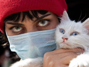 کیا پالتوبلیاں دماغی کینسر کا سبب بن رہی ہیں