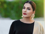 میرا کا امریکا میں ہنگامہ کتنی حقیقت کتنا افسانہ