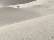 سعودی عرب میں بارش اور برف باری سے موسم خوشگوار