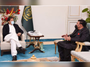 وزیراعظم عمران خان سے وزیر داخلہ شیخ رشید کی ملاقات