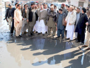 حلقہ بندیاں سیاسی جماعت نہیں حکومت کا کام ہے شرجیل میمن